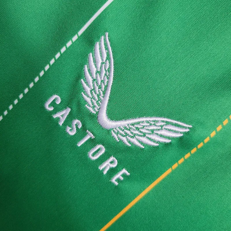 Camisa Seleção Irlanda I 23/24 - Torcedor Castore Masculina - Verde com detalhes em laranja