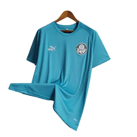 Camisa Palmeiras Treino 23/24 - Torcedor Puma Masculina - Verde