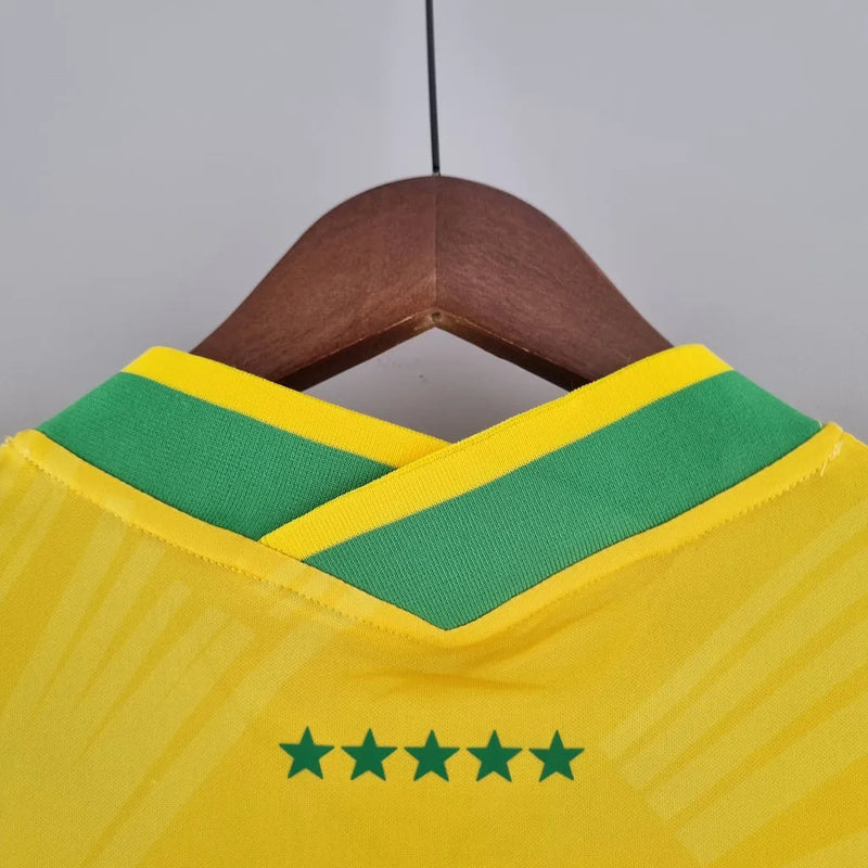 Camisa Seleção Brasileira Edição Especial Cristo Redentor Torcedor Nike Masculina - Amarela