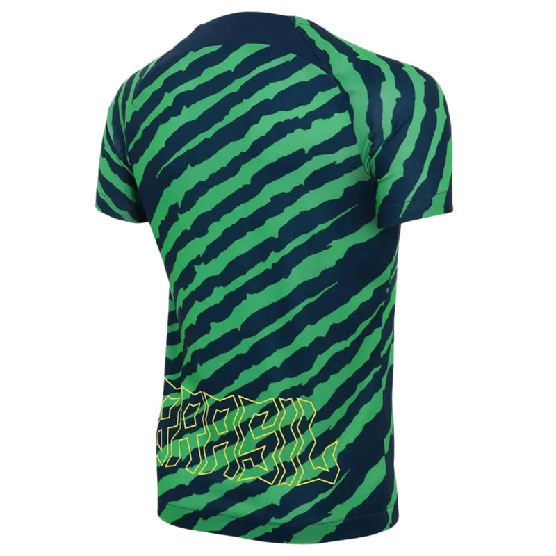 Camisa Seleção Brasileira Pré-Jogo 2022 Torcedor Nike Masculina - Azul e Verde