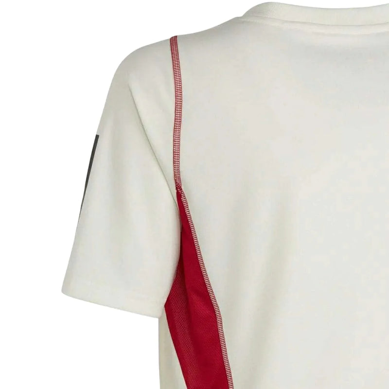 Camisa Flamengo Treino 23/24 Torcedor Adidas Masculina - Branco