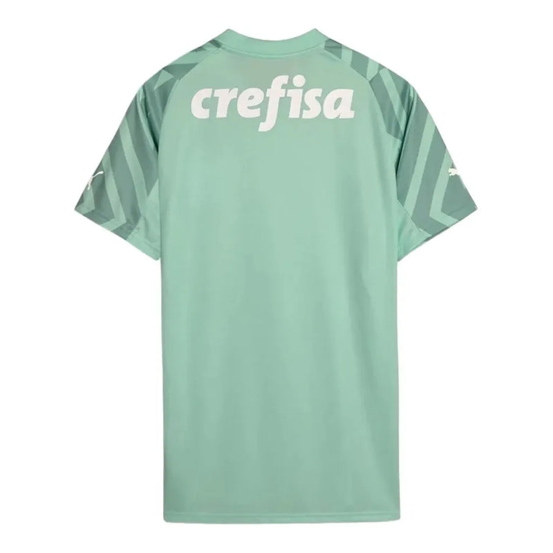 Camisa Palmeiras Goleiro II 24/25 - Torcedor Puma Masculina - Verde