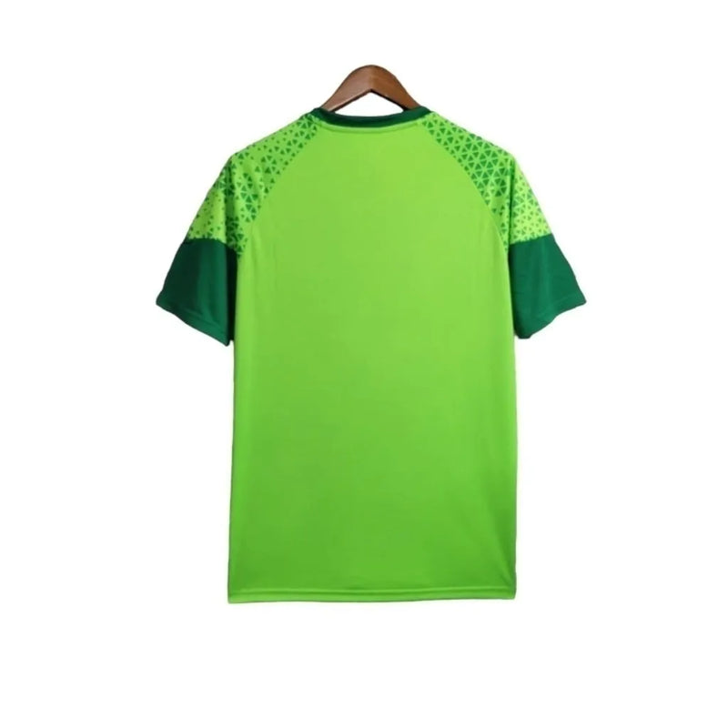 Camisa Palmeiras Treino 24/25 - Torcedor Puma Masculina - Verde