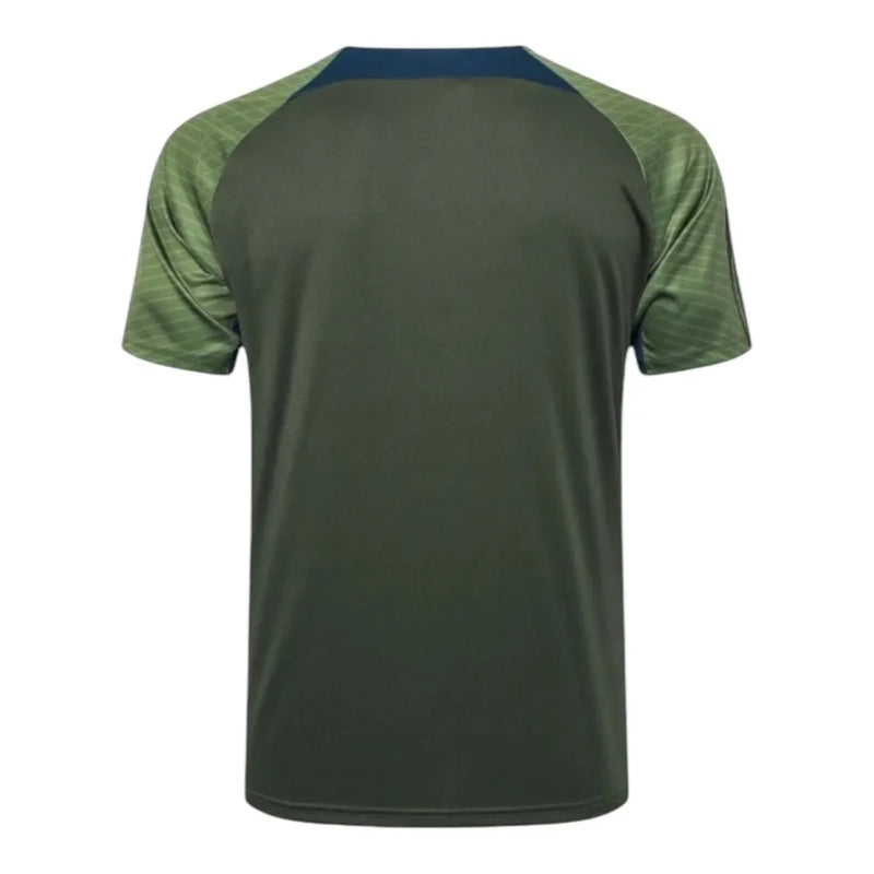 Camisa Paris Saint-Germain Treino 24/25 - Torcedor Jordan Masculina - Verde